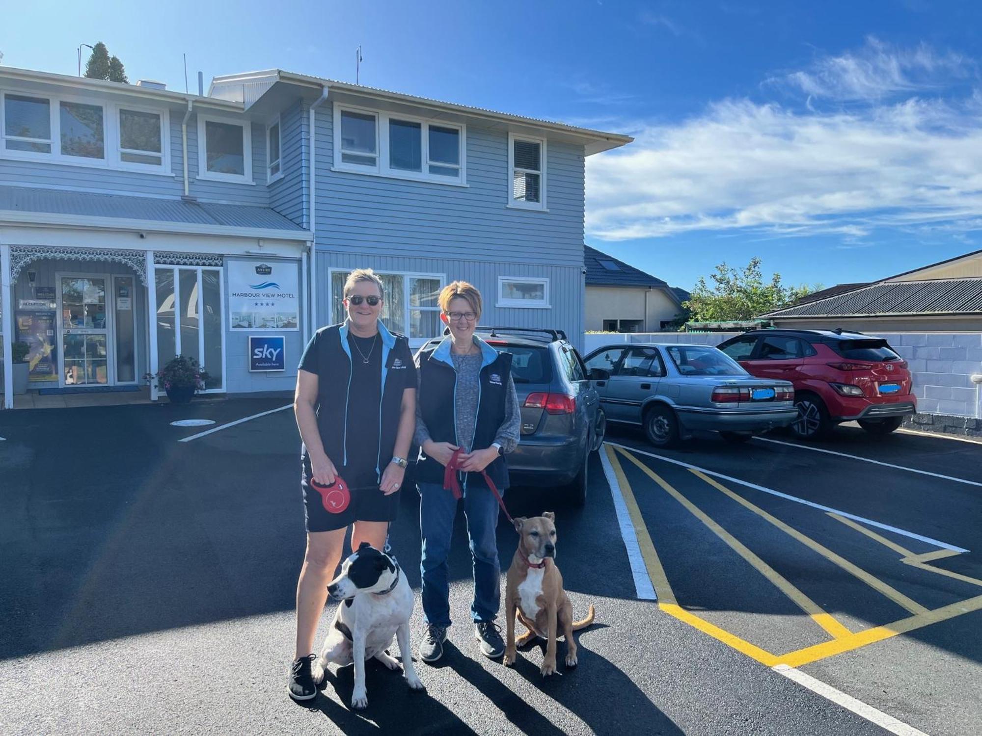 Harbour View Motel And Waterfront Apartments Tauranga Exteriér fotografie